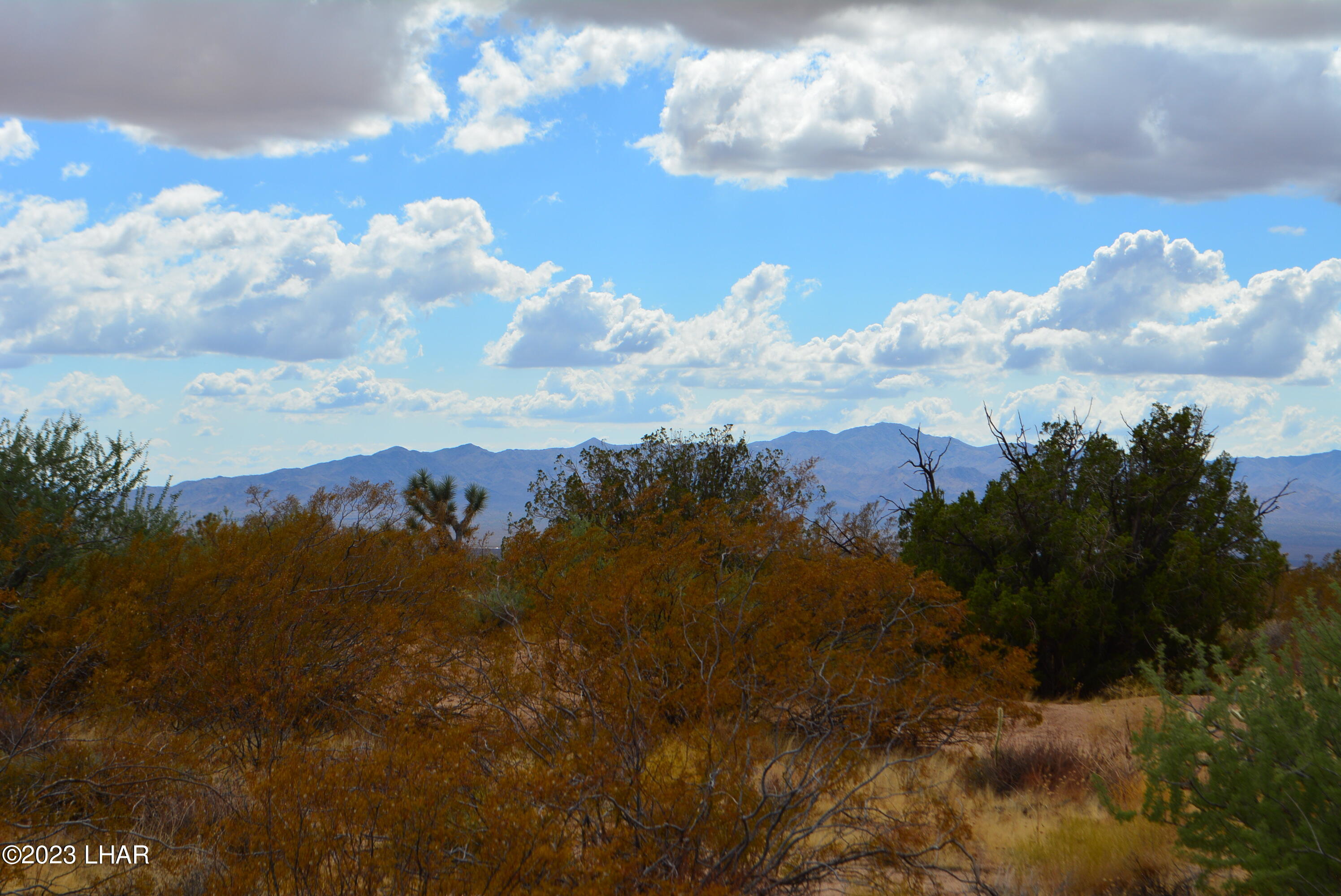 2652 South Diamondback Road Yucca, AZ 86438 - Photo 19 of 36 DSC_0281