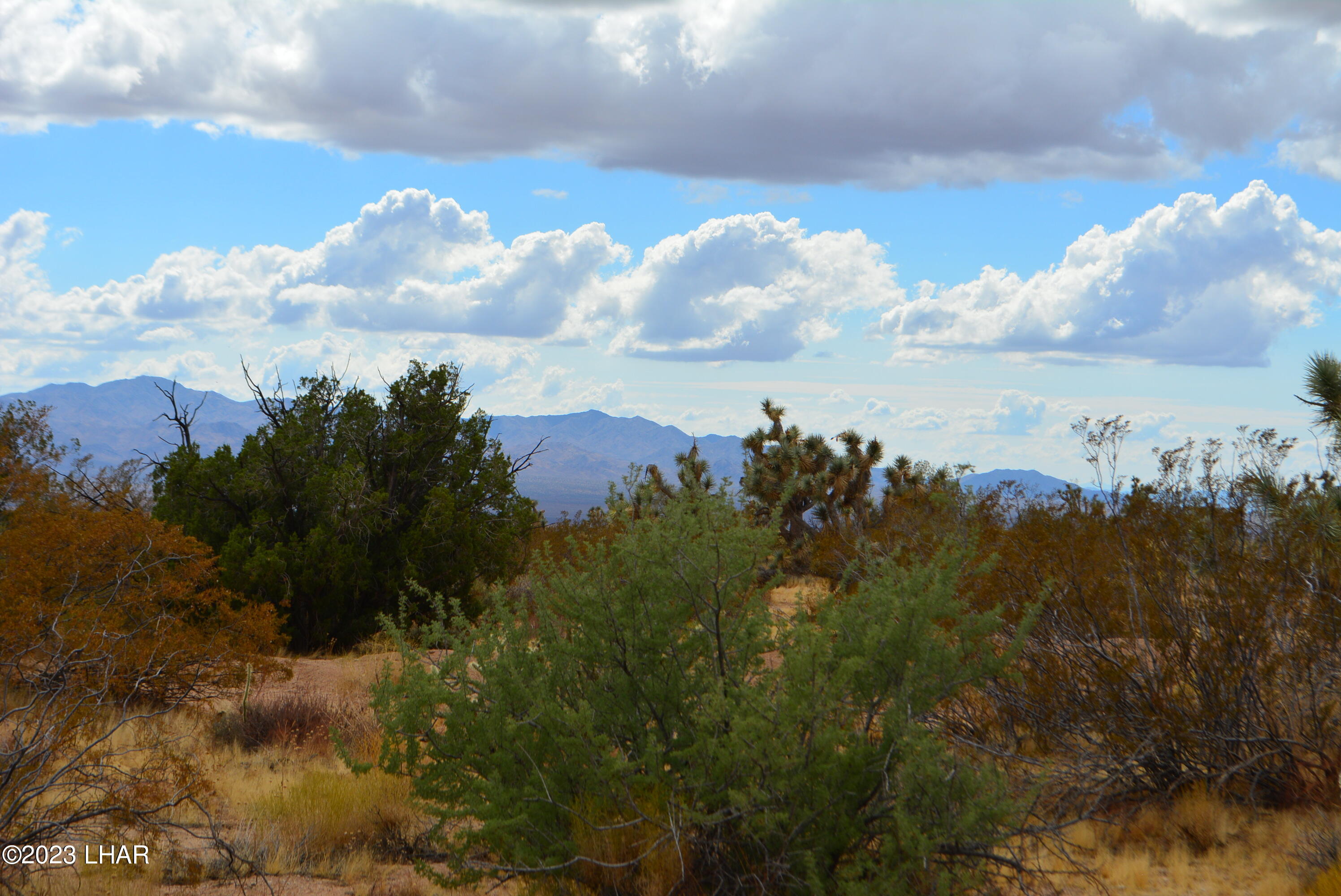 2652 South Diamondback Road Yucca, AZ 86438 - Photo 20 of 36 DSC_0282