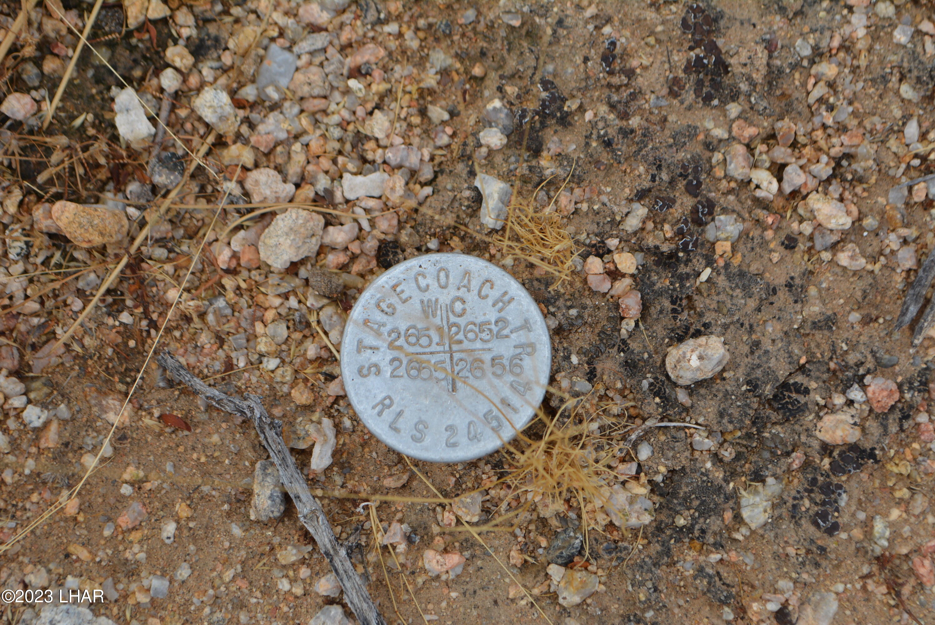 2652 South Diamondback Road Yucca, AZ 86438 - Photo 2 of 36 DSC_0264