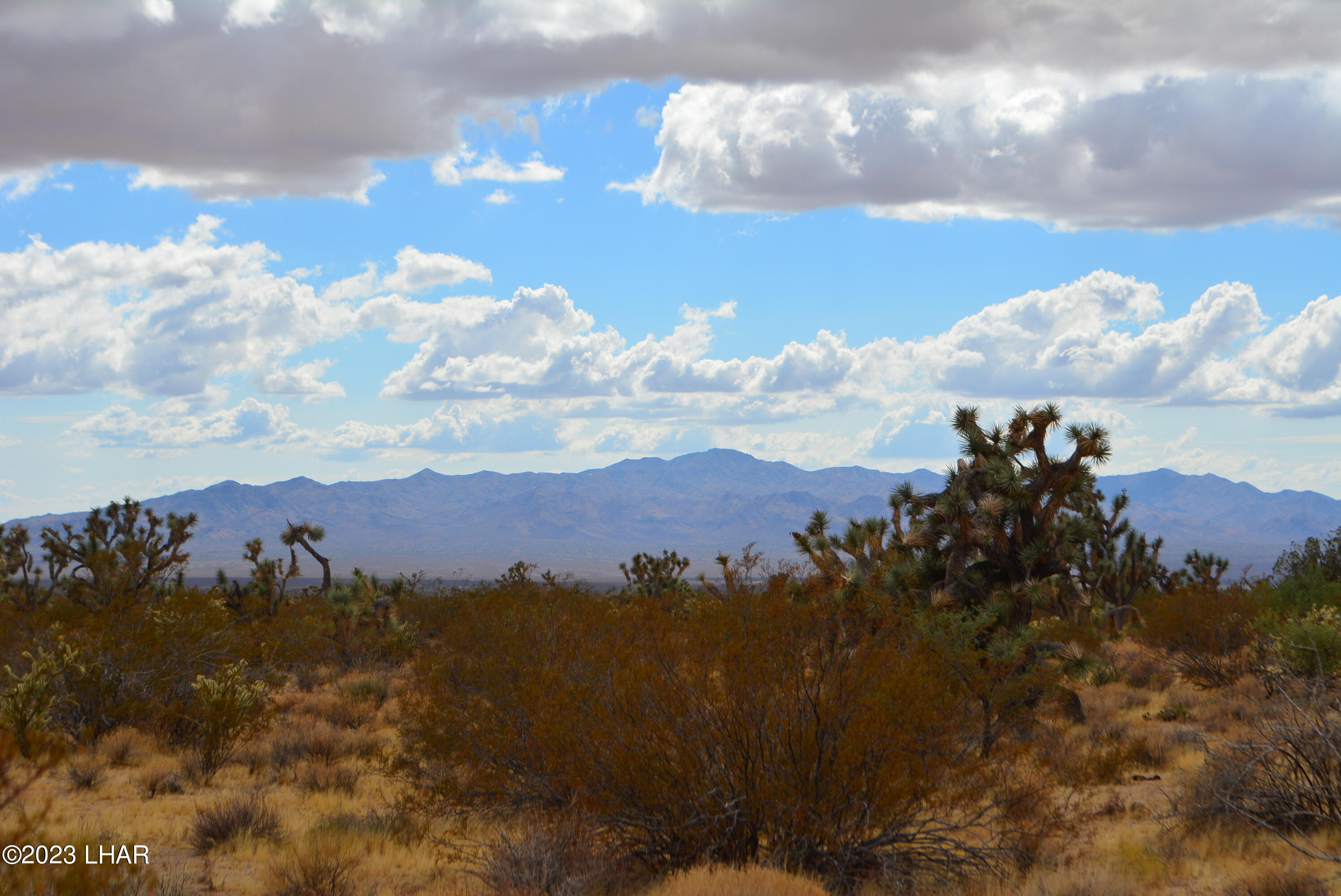 2652 South Diamondback Road Yucca, AZ 86438 - Photo 27 of 36 DSC_0289