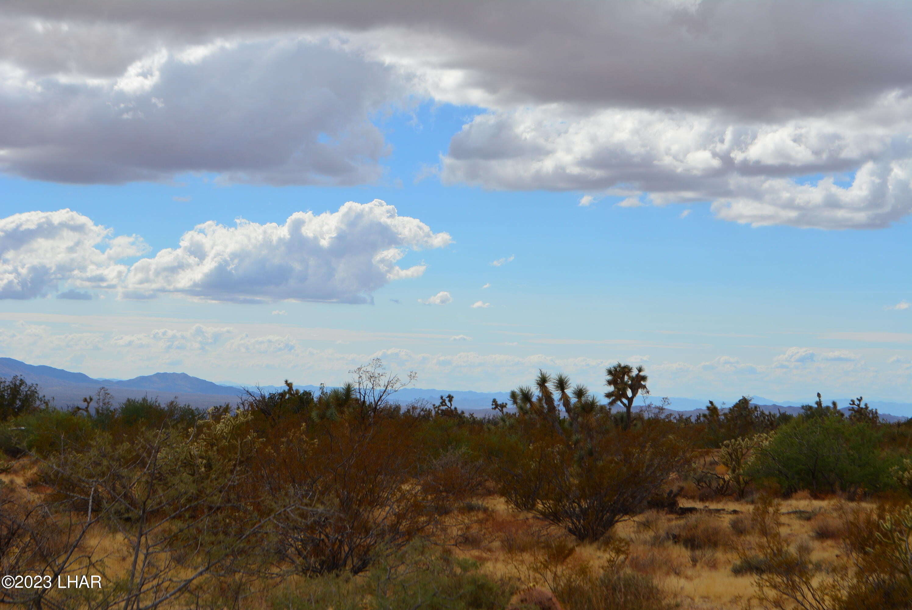 2652 South Diamondback Road Yucca, AZ 86438 - Photo 28 of 36 DSC_0290