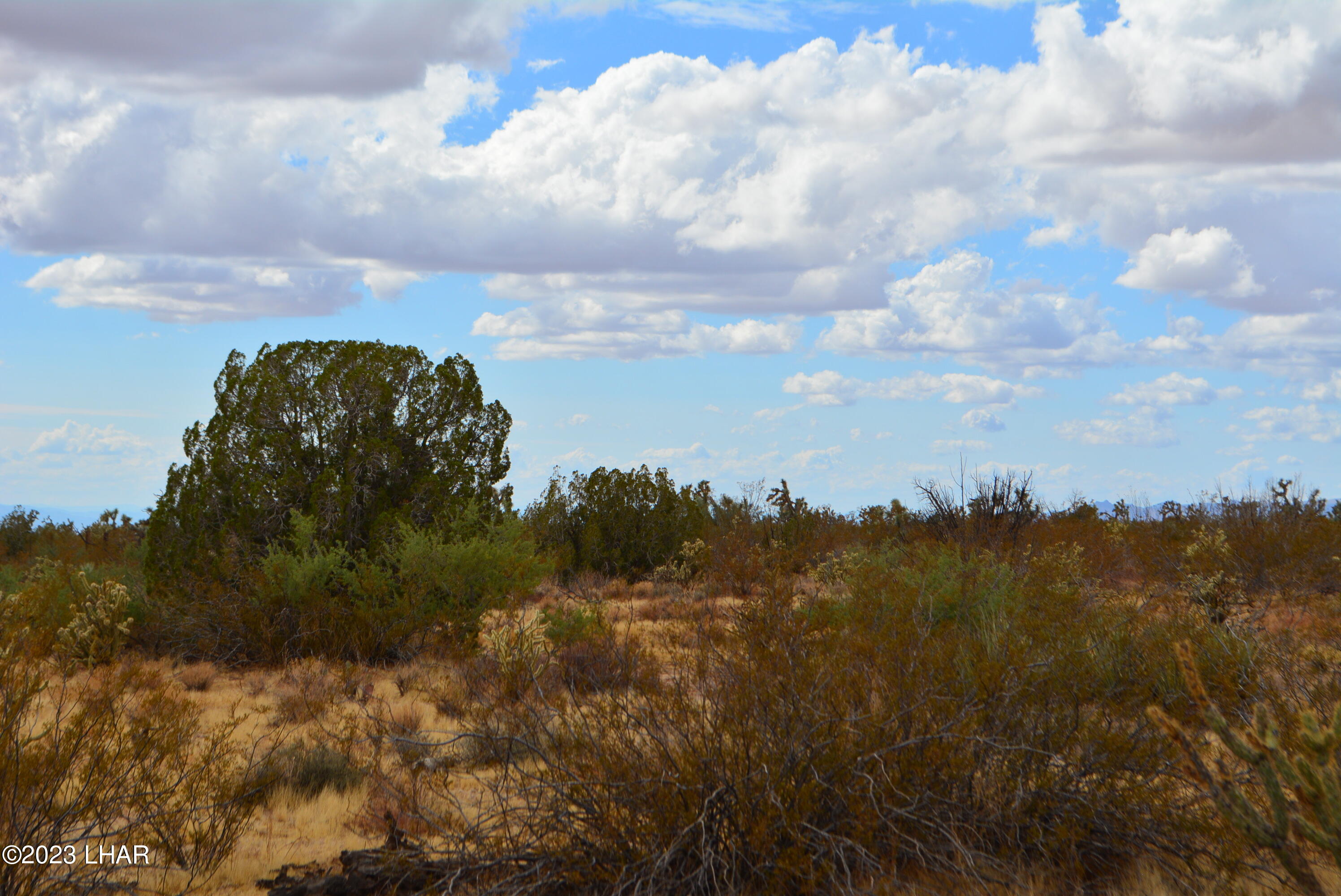 2652 South Diamondback Road Yucca, AZ 86438 - Photo 29 of 36 DSC_0291