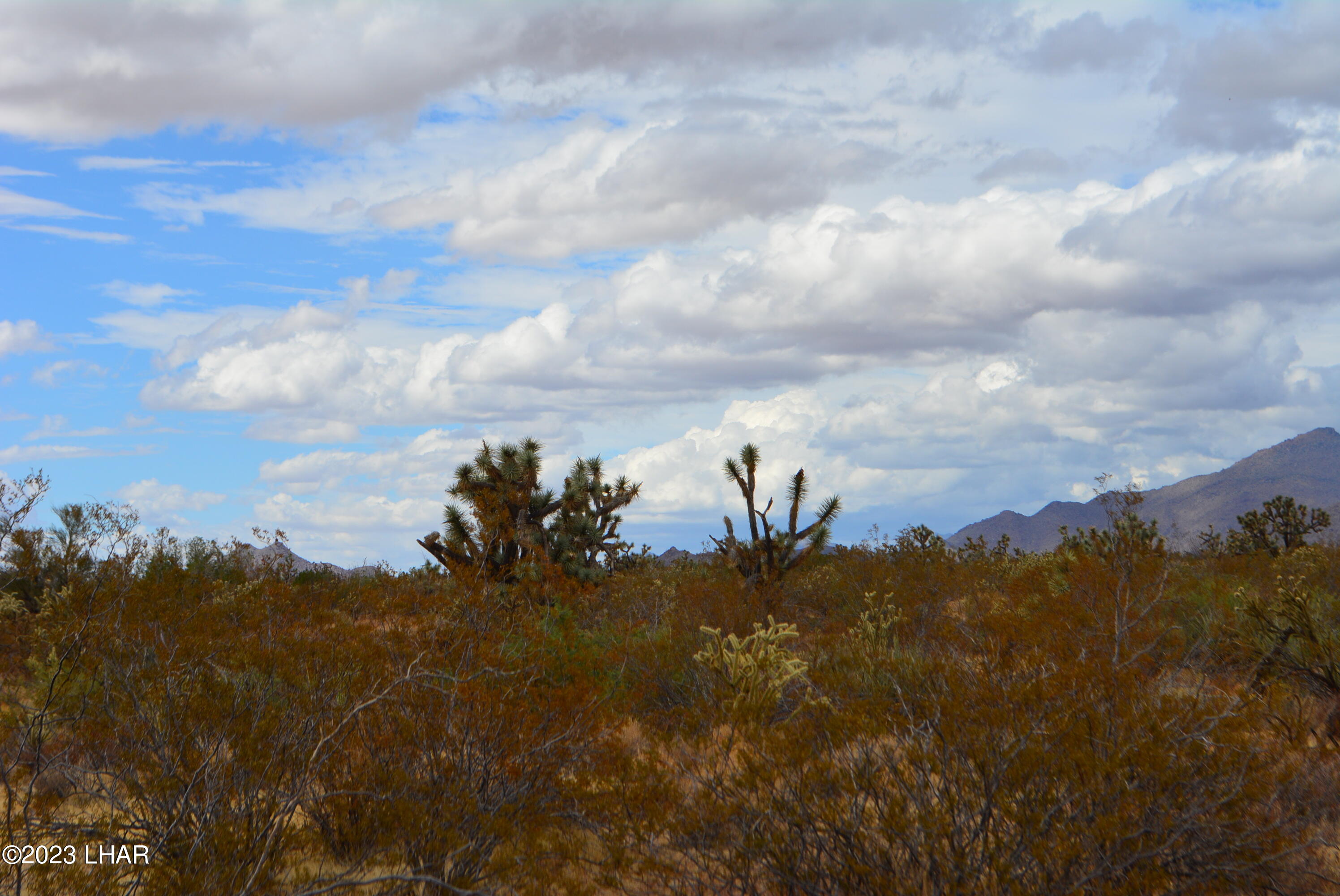 2652 South Diamondback Road Yucca, AZ 86438 - Photo 30 of 36 DSC_0292