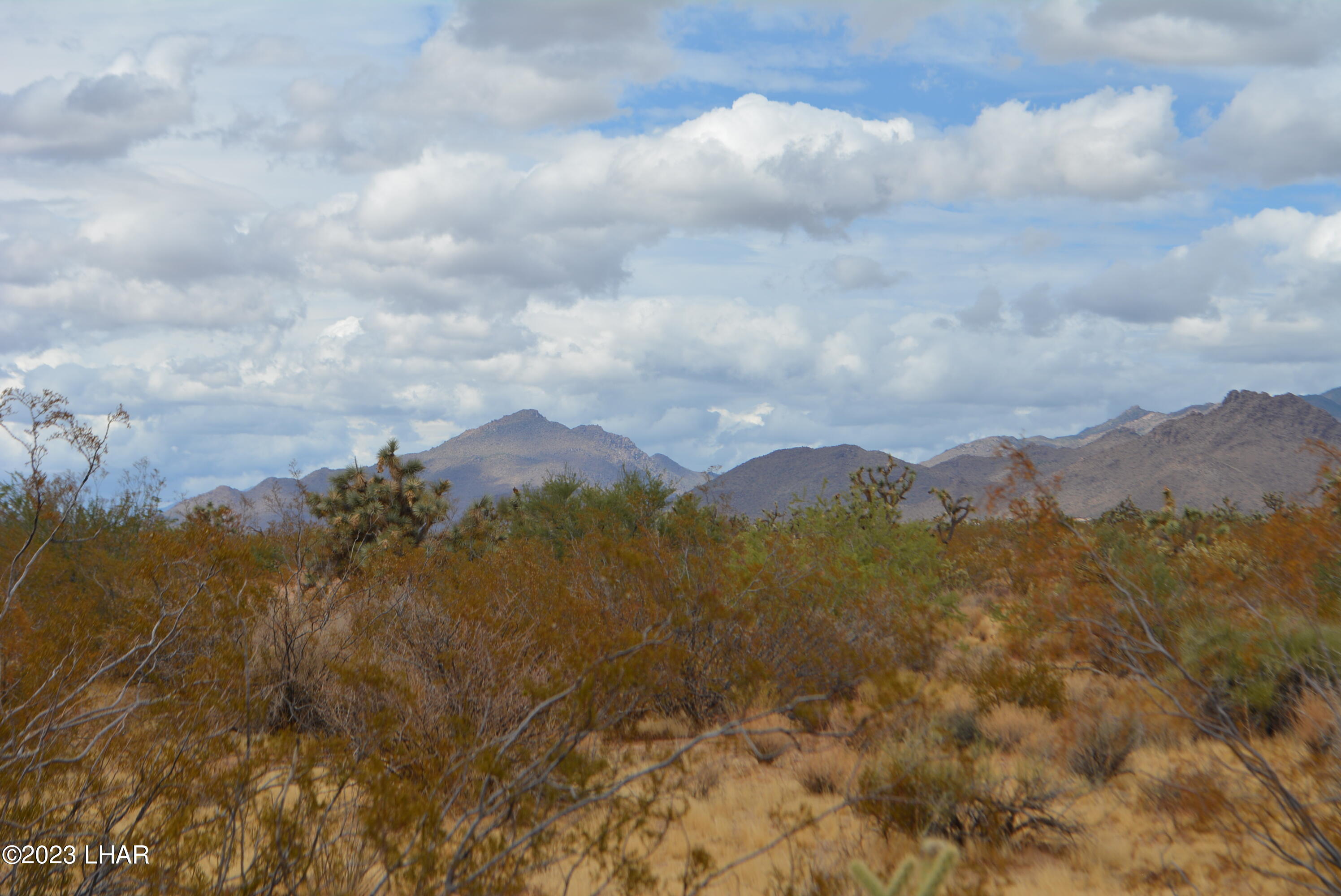 2652 South Diamondback Road Yucca, AZ 86438 - Photo 3 of 36 DSC_0265