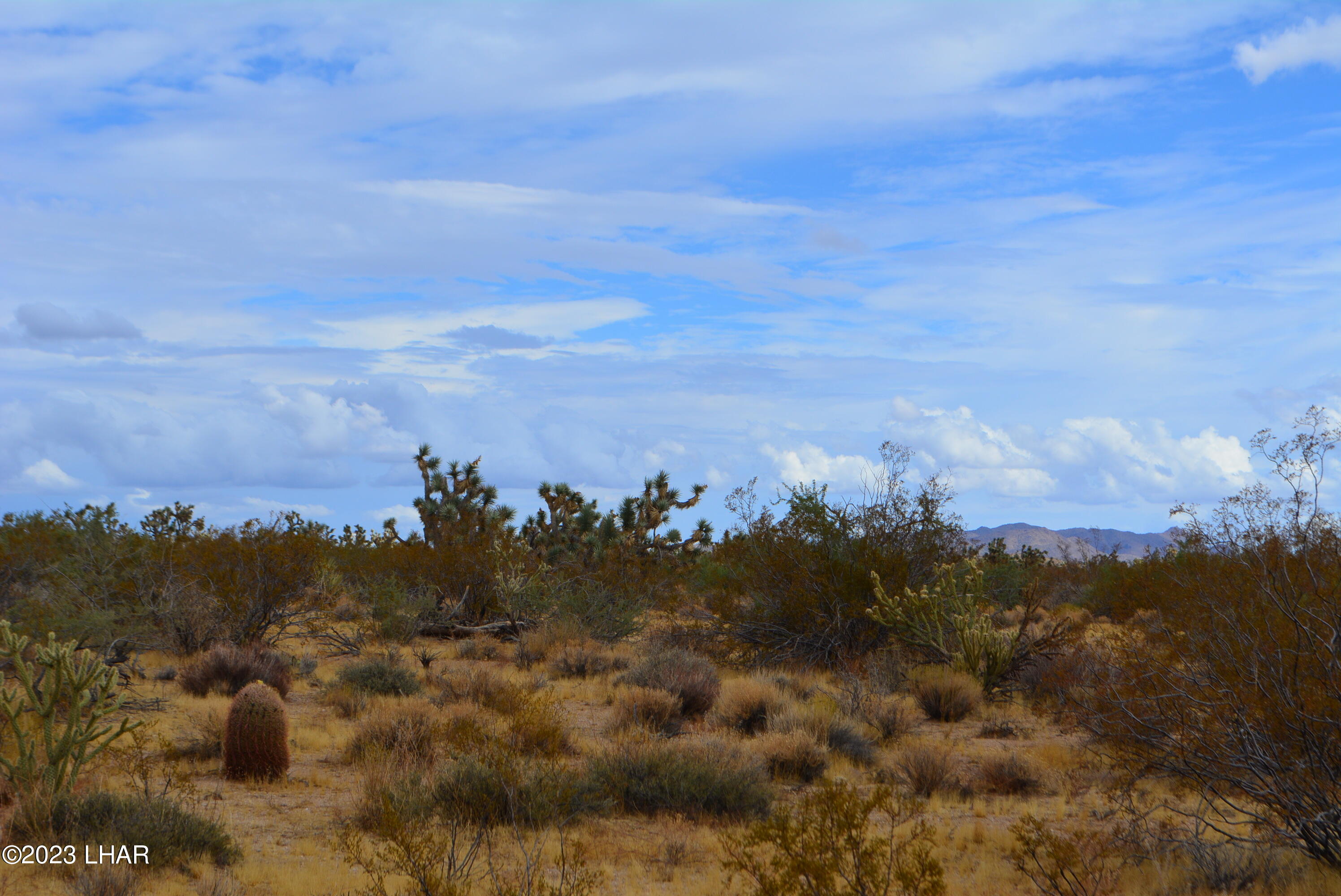 2652 South Diamondback Road Yucca, AZ 86438 - Photo 31 of 36 DSC_0294