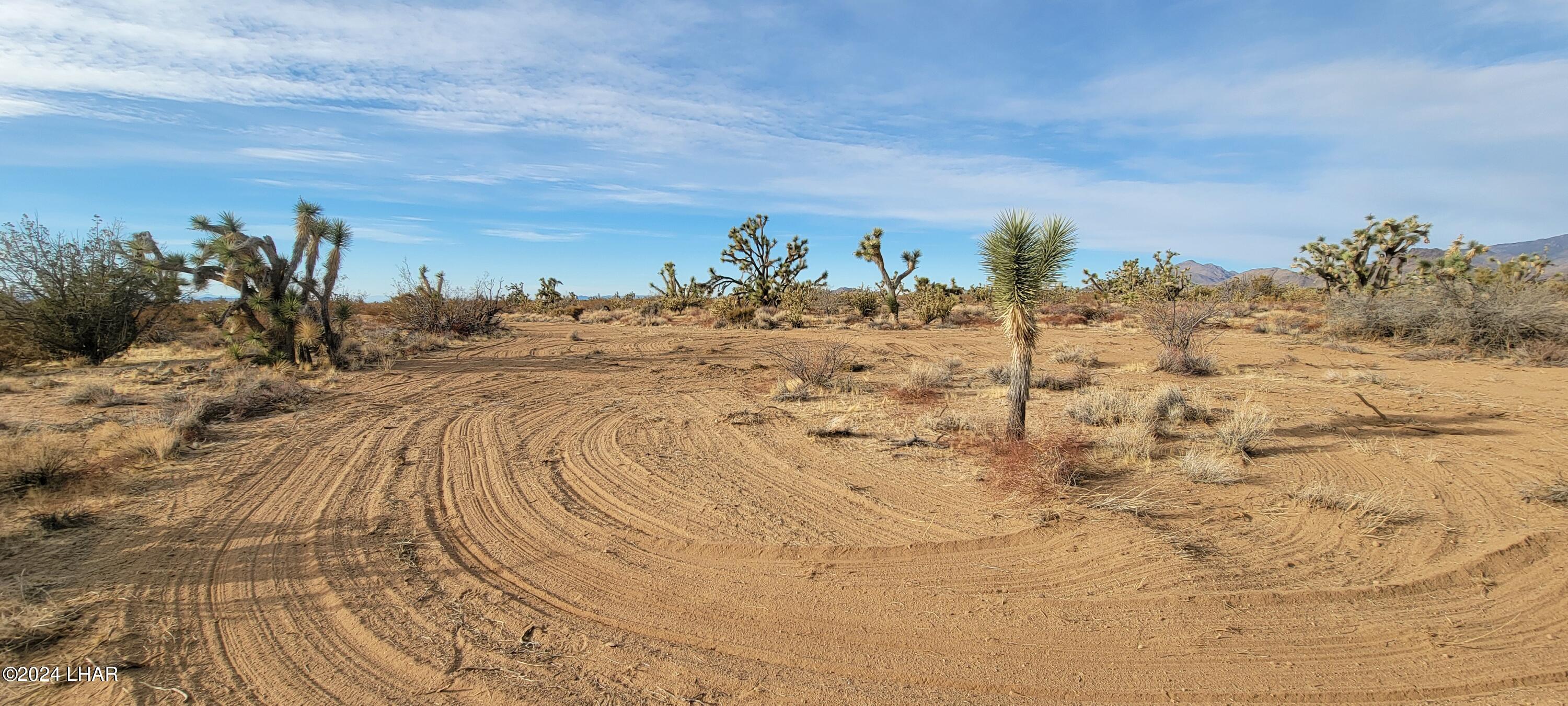 2652 South Diamondback Road Yucca, AZ 86438 - Photo 34 of 36 20240101_153336