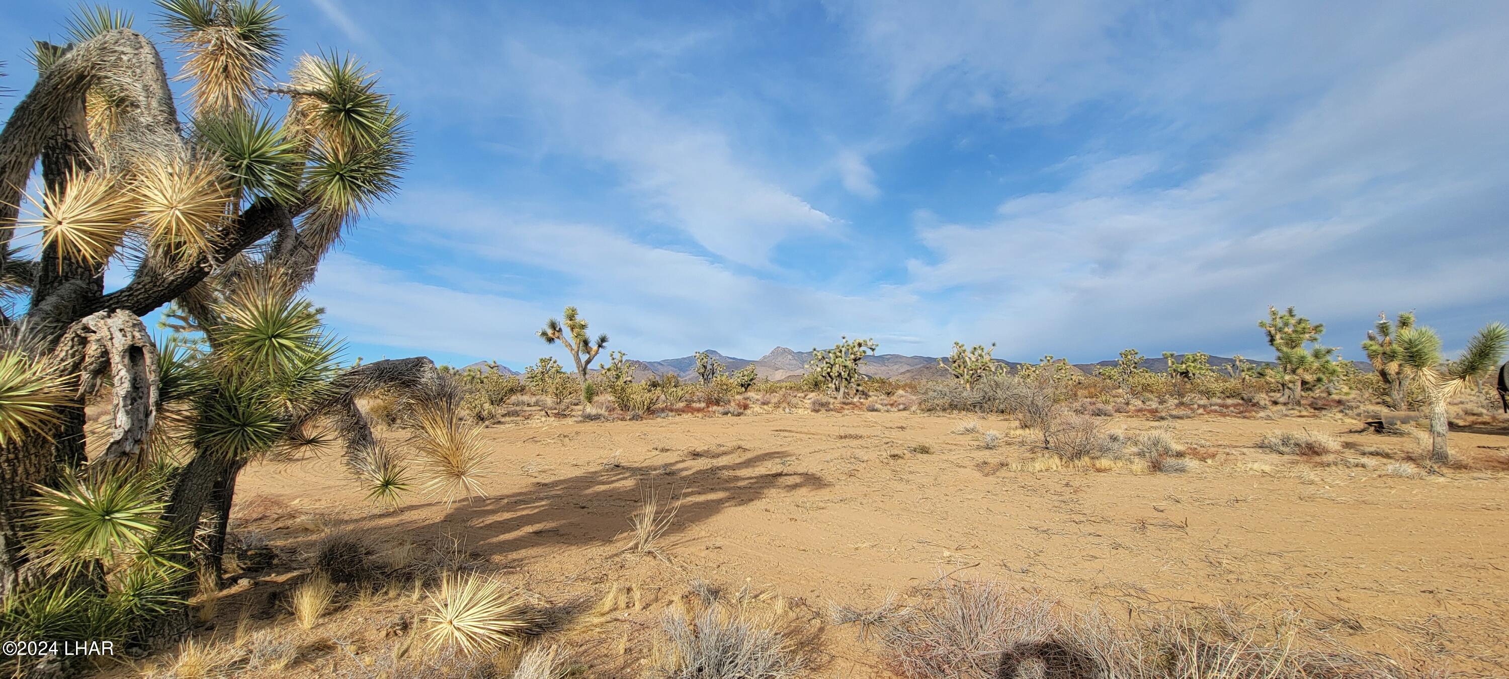2652 South Diamondback Road Yucca, AZ 86438 - Photo 35 of 36 20240101_153411