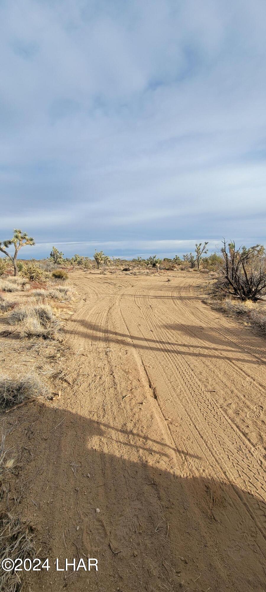 2652 South Diamondback Road Yucca, AZ 86438 - Photo 36 of 36 20240101_153721