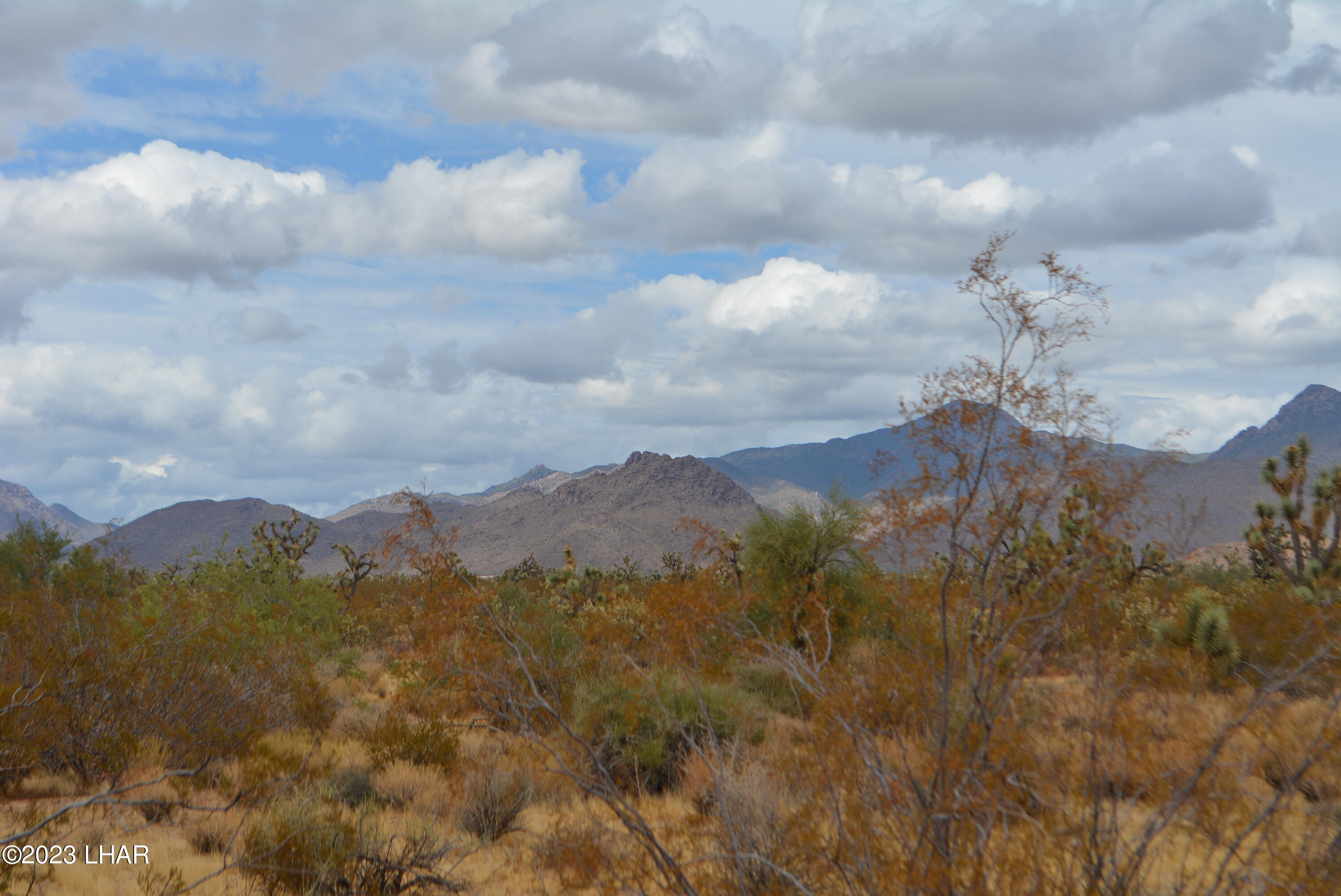 2652 South Diamondback Road Yucca, AZ 86438 - Photo 4 of 36 DSC_0266