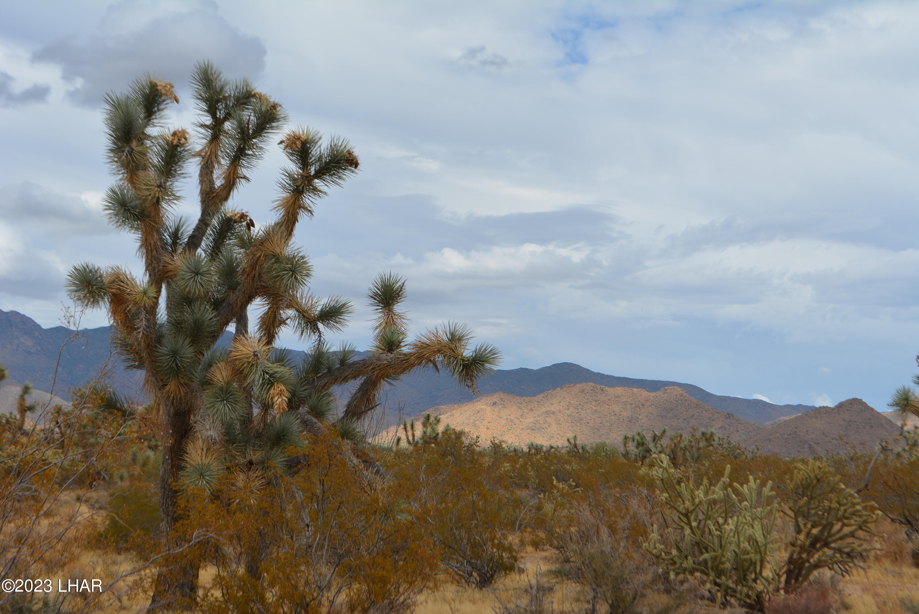 2652 South Diamondback Road Yucca, AZ 86438 - Photo 6 of 36 DSC_0268