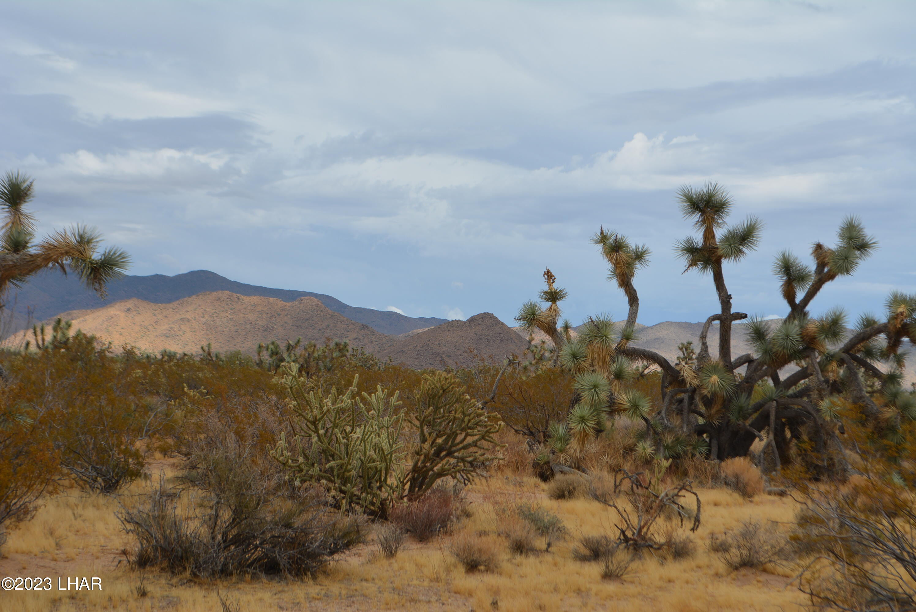2652 South Diamondback Road Yucca, AZ 86438 - Photo 7 of 36 DSC_0269