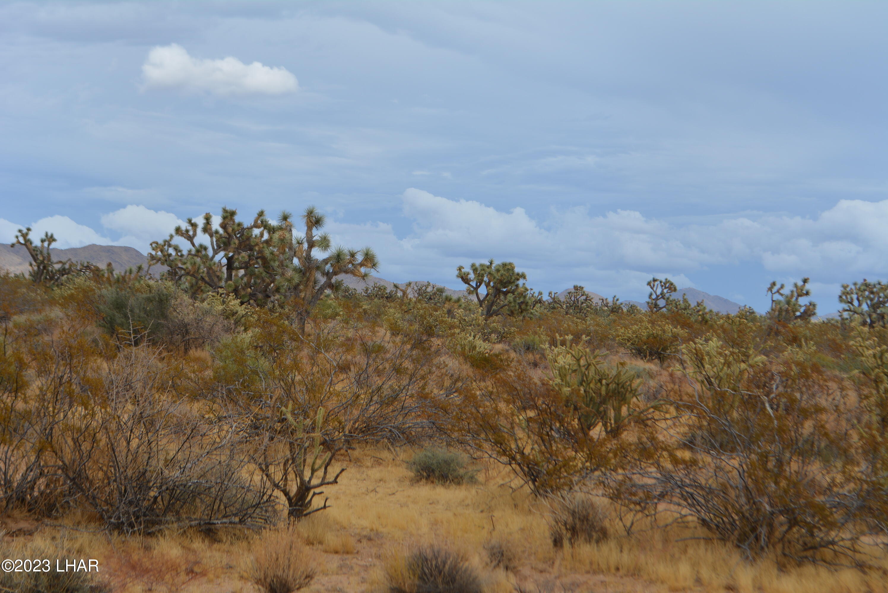 2652 South Diamondback Road Yucca, AZ 86438 - Photo 9 of 36 DSC_0271