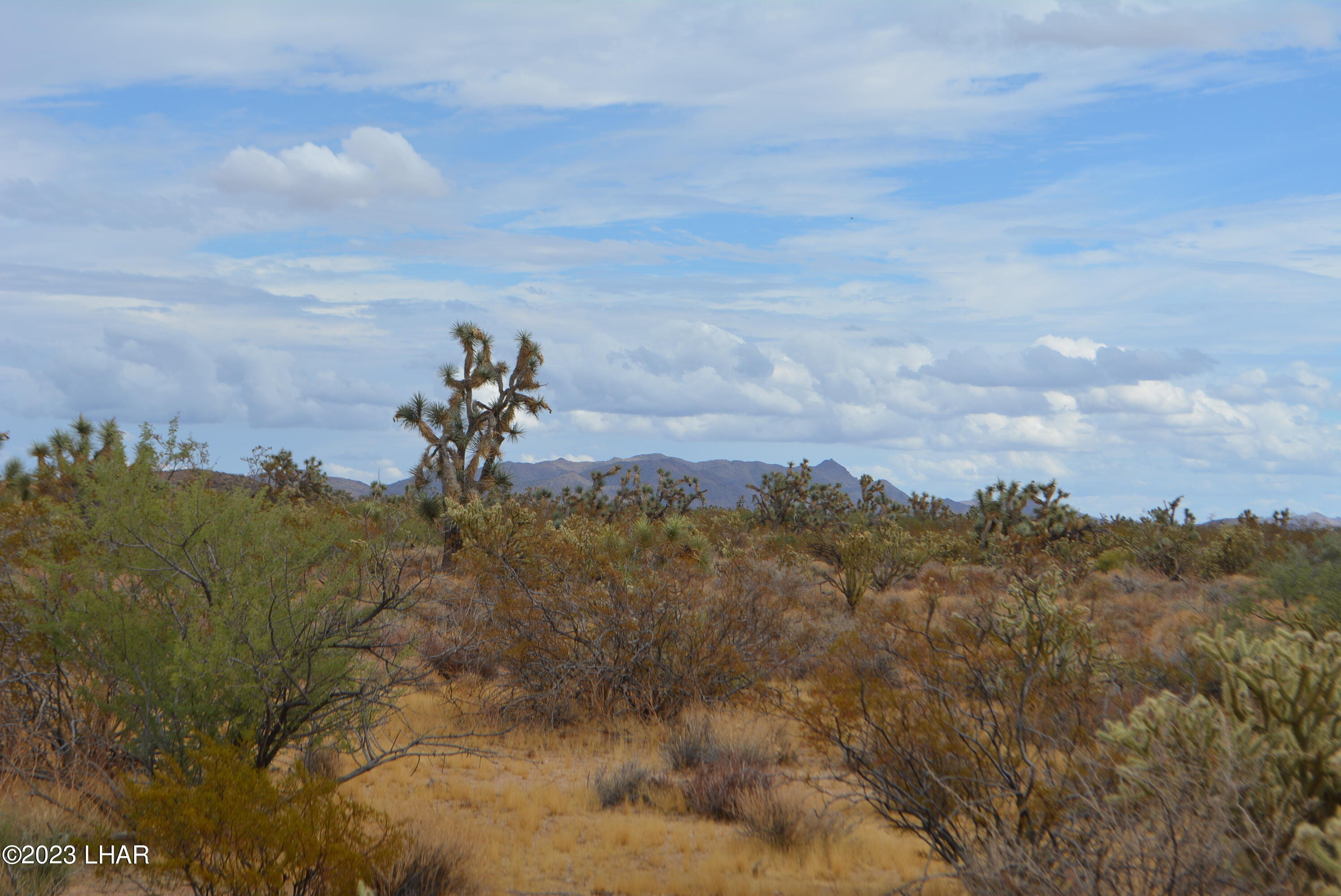 2652 South Diamondback Road Yucca, AZ 86438 - Photo 10 of 36 DSC_0272