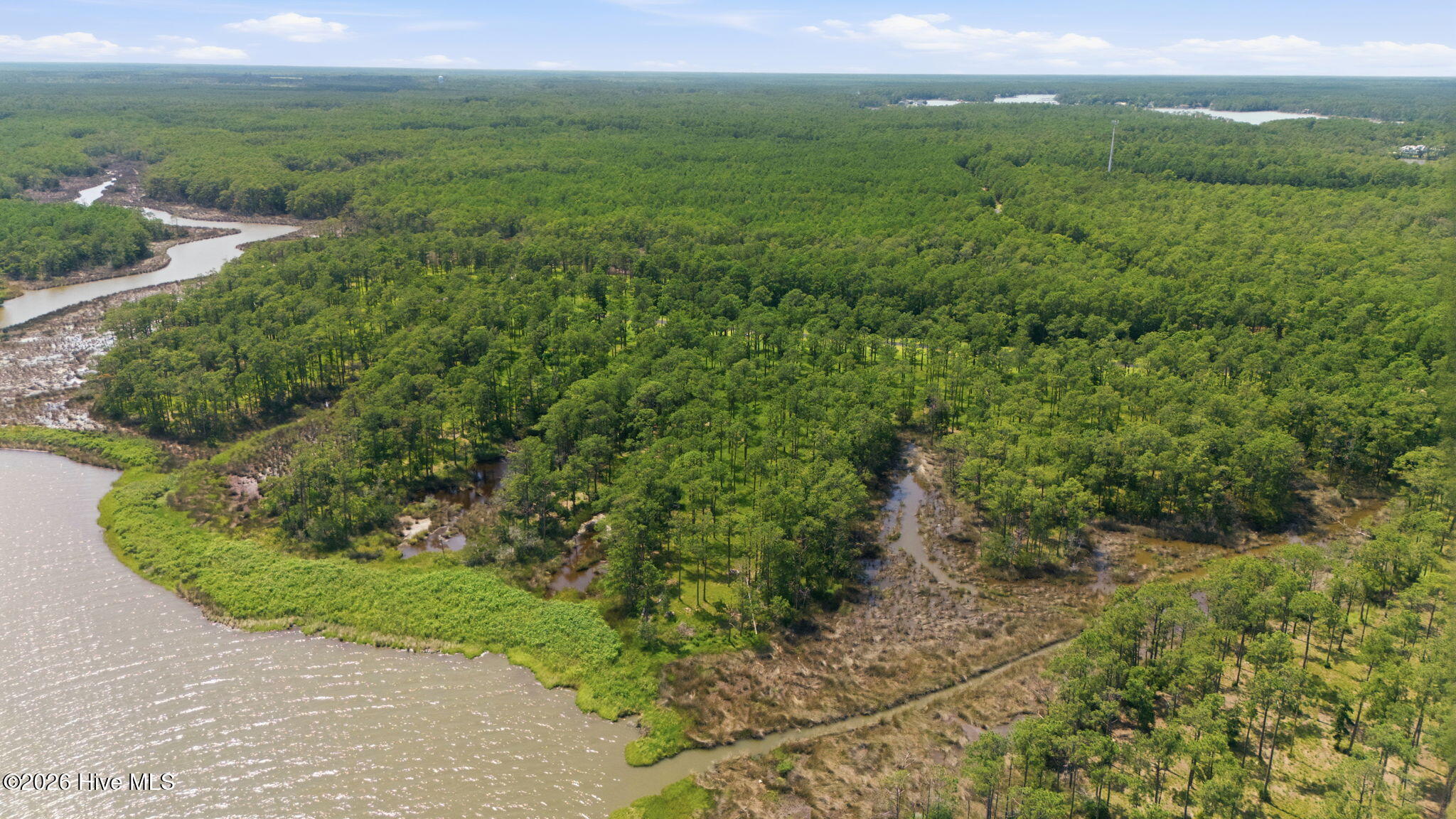 143 River Watch Road Oriental, NC 28571 - Photo 10 of 32