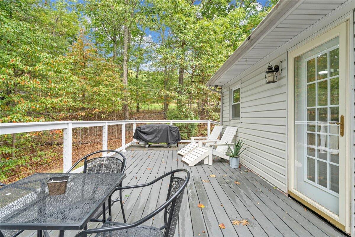 991 Blue Ridge Drive Blue Ridge, VA 24064 - Photo 42 of 52 43-MIB01537