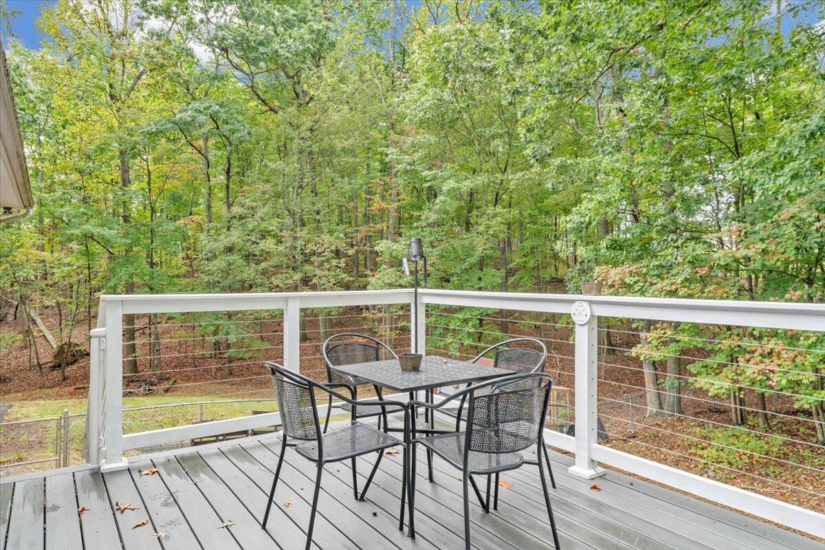 991 Blue Ridge Drive Blue Ridge, VA 24064 - Photo 43 of 52 44-MIB01540