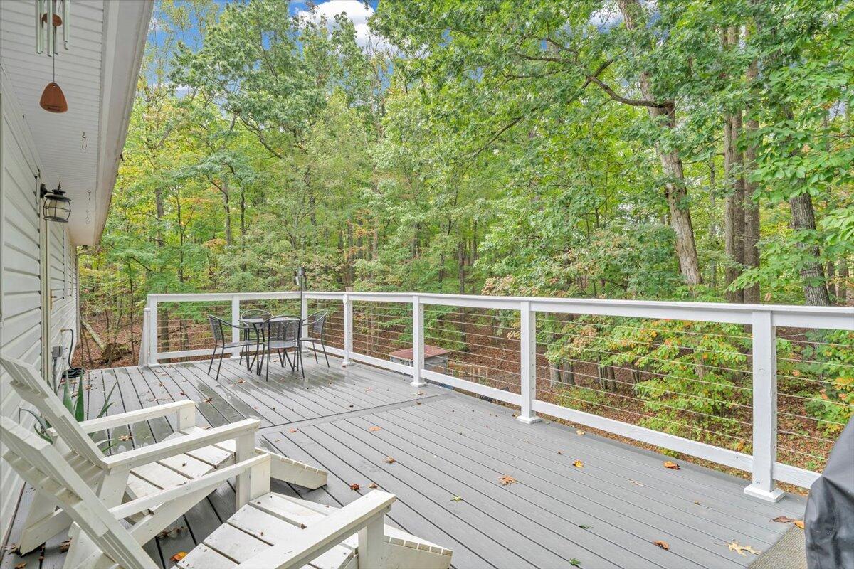 991 Blue Ridge Drive Blue Ridge, VA 24064 - Photo 44 of 52 45-MIB01543