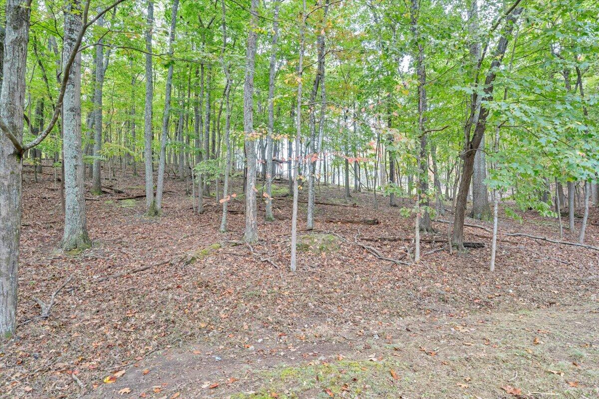 991 Blue Ridge Drive Blue Ridge, VA 24064 - Photo 49 of 52 54-MIB01573