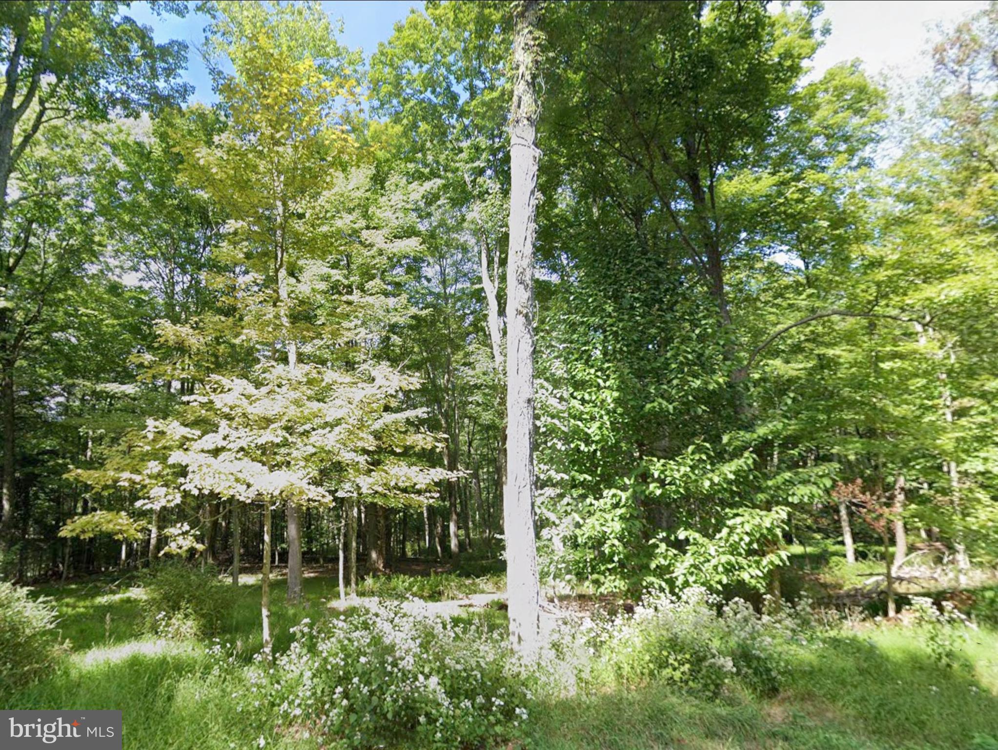 0 Juniata Valley Road Hollidaysburg, PA 16648 - Photo 3 of 13 a view of lake