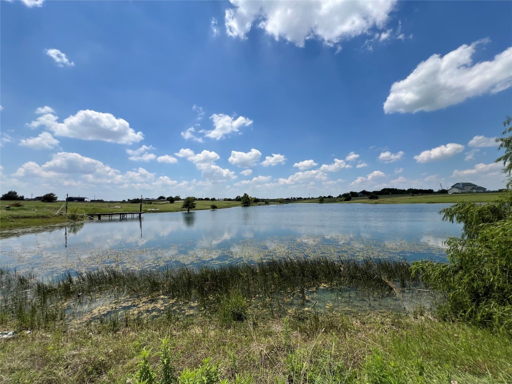 15911 Schmidt Loop Manor, TX 78653 - Photo 5 of 37