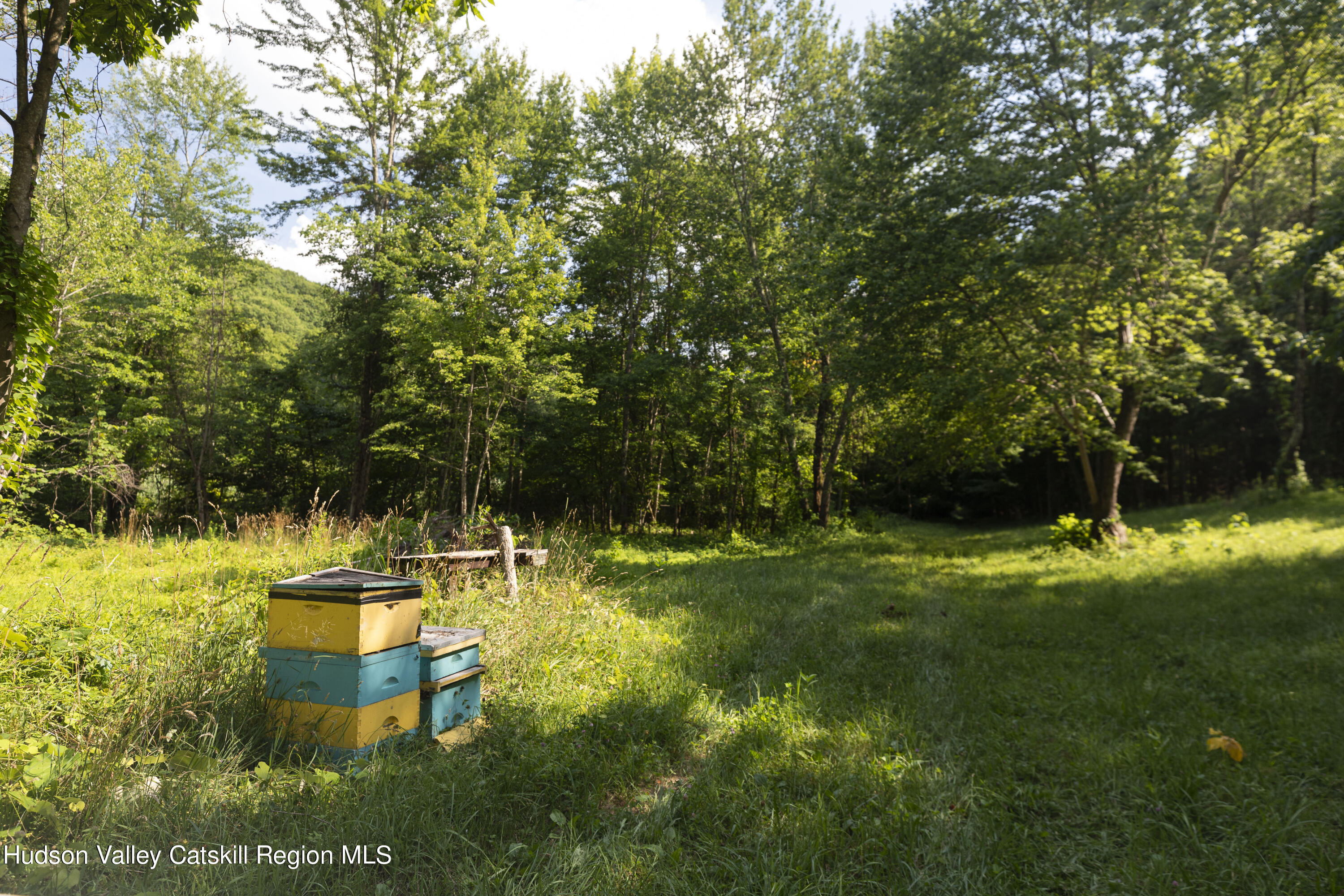 501 Huckleberry Turnpike Wallkill, NY 12589 - Photo 35 of 36 a backyard of a house with lots of green space