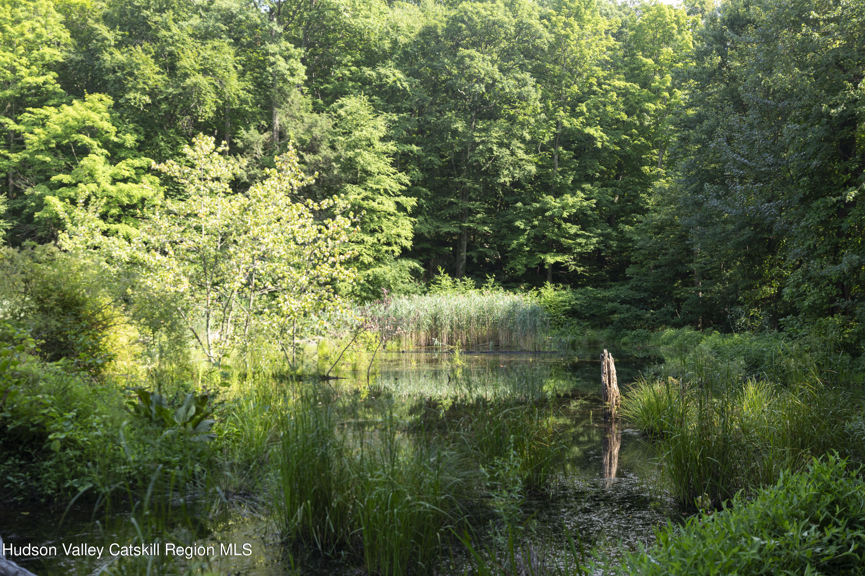 501 Huckleberry Turnpike Wallkill, NY 12589 - Photo 36 of 36