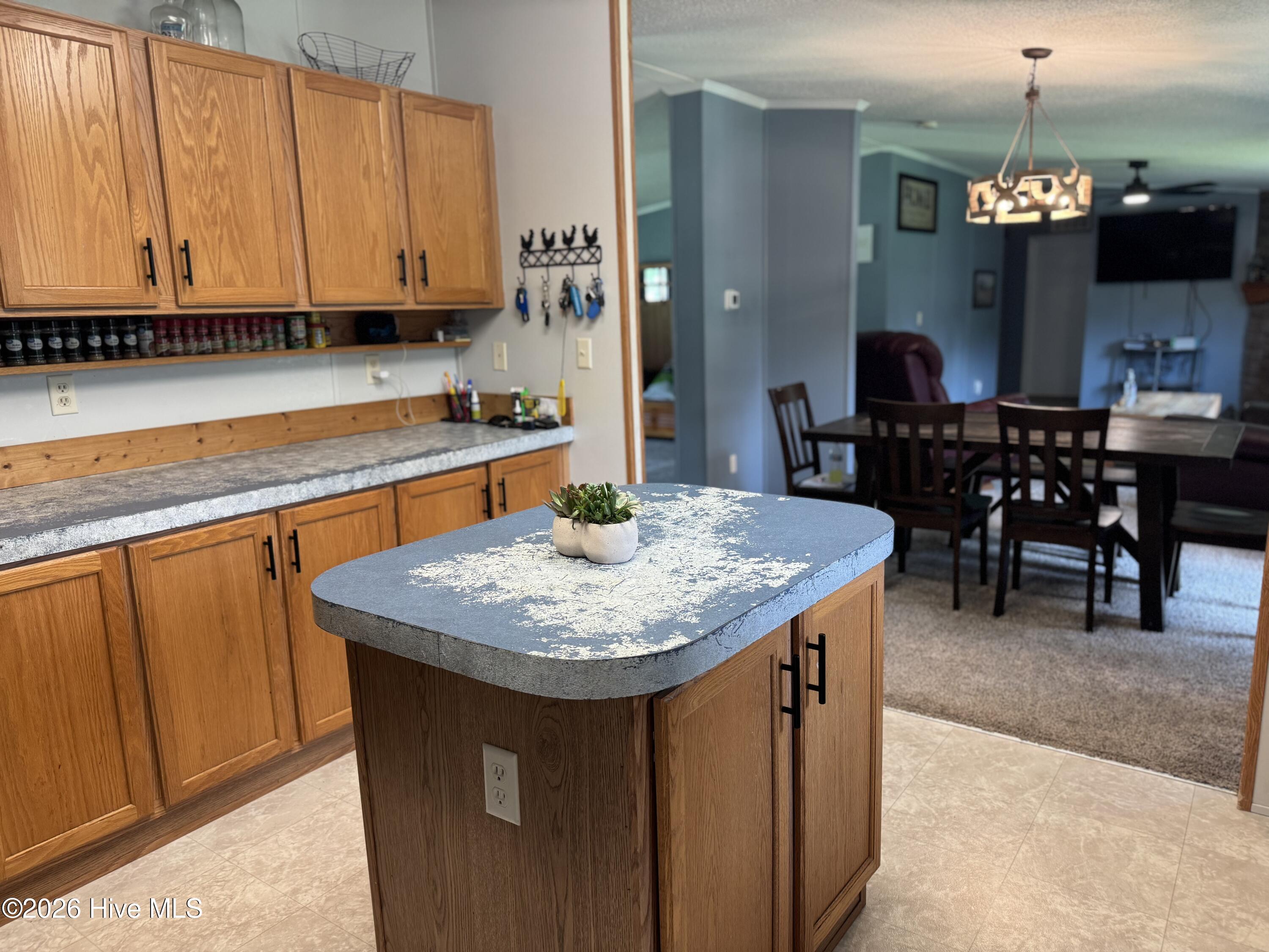 177 Ward's Road Knotts Island, NC 27950 - Photo 20 of 45