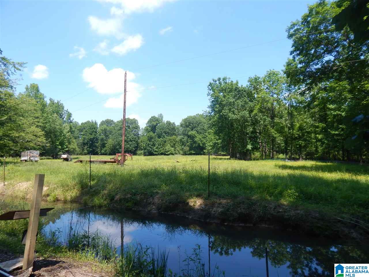 417 Old Stagecoach Road Woodstock, AL 35188 - Photo 5 of 17