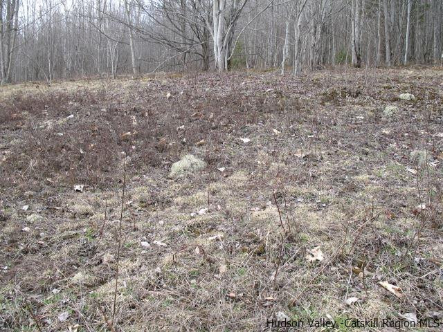 Tbd222.4-5 Dimmick Mountain Road Denver, NY 12421 - Photo 12 of 27 Photo 12