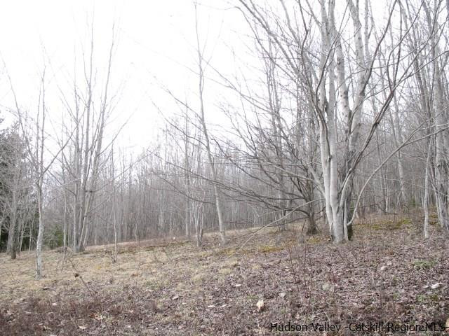 Tbd222.4-5 Dimmick Mountain Road Denver, NY 12421 - Photo 13 of 27 Photo 13