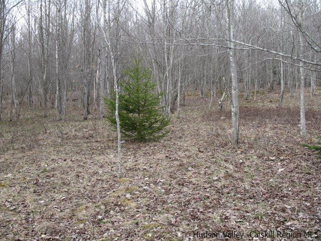 Tbd222.4-5 Dimmick Mountain Road Denver, NY 12421 - Photo 14 of 27 Photo 14