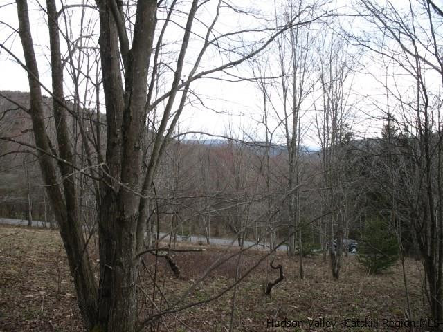 Tbd222.4-5 Dimmick Mountain Road Denver, NY 12421 - Photo 16 of 27 Photo 16
