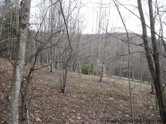 Tbd222.4-5 Dimmick Mountain Road Denver, NY 12421 - Photo 17 of 27 Photo 17