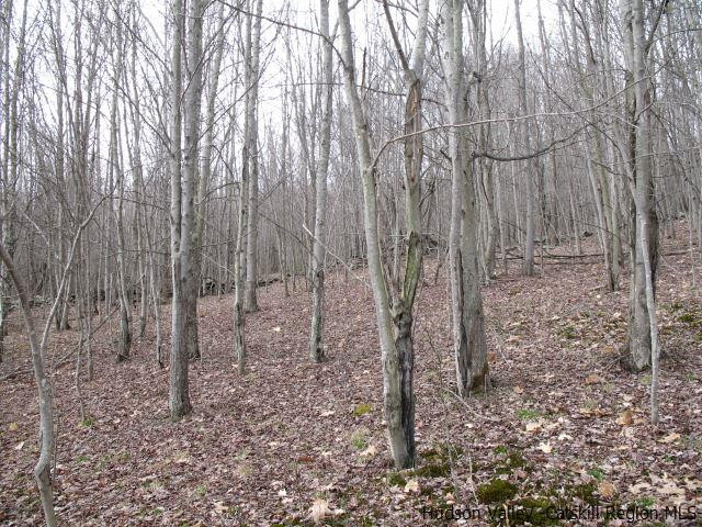 Tbd222.4-5 Dimmick Mountain Road Denver, NY 12421 - Photo 18 of 27 Photo 18