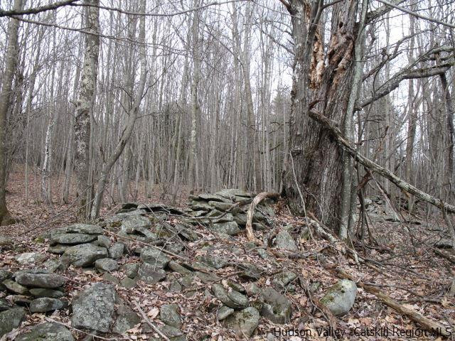 Tbd222.4-5 Dimmick Mountain Road Denver, NY 12421 - Photo 19 of 27 Photo 19