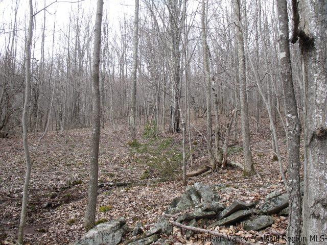 Tbd222.4-5 Dimmick Mountain Road Denver, NY 12421 - Photo 20 of 27 Photo 20