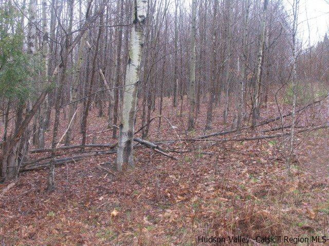 Tbd222.4-5 Dimmick Mountain Road Denver, NY 12421 - Photo 2 of 27 Photo 2