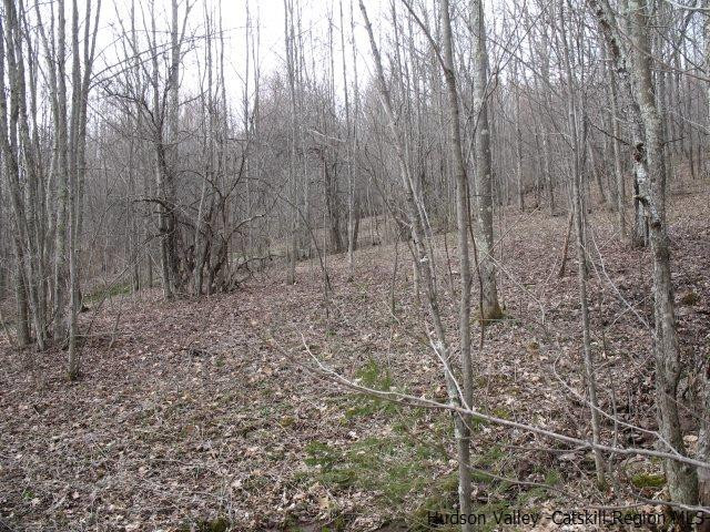 Tbd222.4-5 Dimmick Mountain Road Denver, NY 12421 - Photo 21 of 27 Photo 21