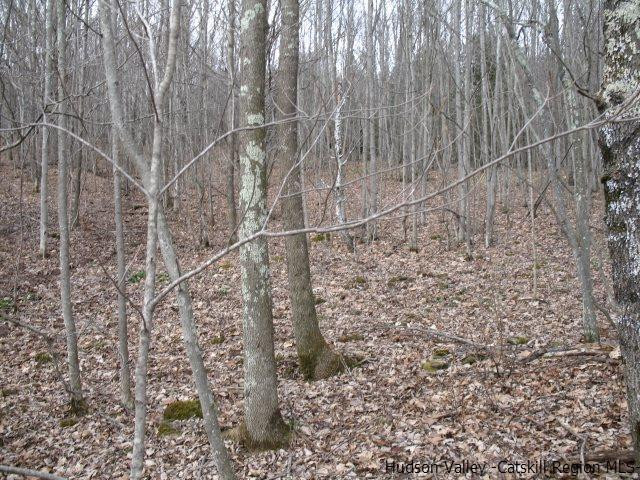 Tbd222.4-5 Dimmick Mountain Road Denver, NY 12421 - Photo 22 of 27 Photo 22
