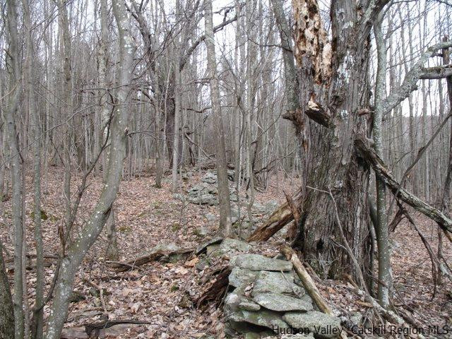 Tbd222.4-5 Dimmick Mountain Road Denver, NY 12421 - Photo 23 of 27 Photo 23