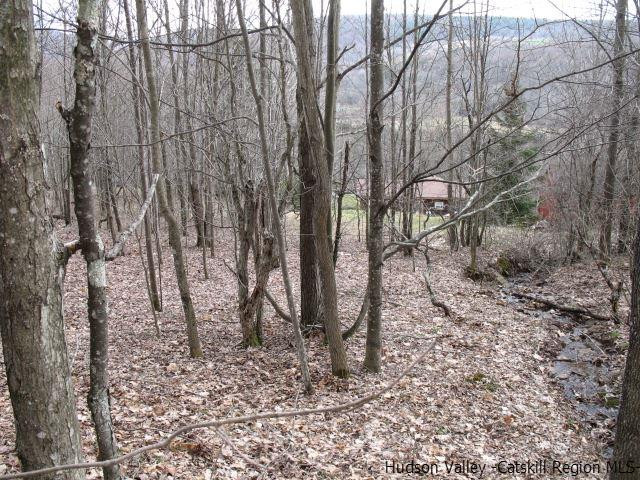 Tbd222.4-5 Dimmick Mountain Road Denver, NY 12421 - Photo 24 of 27 Photo 24