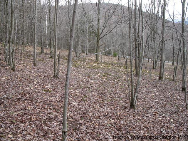 Tbd222.4-5 Dimmick Mountain Road Denver, NY 12421 - Photo 25 of 27 Photo 25