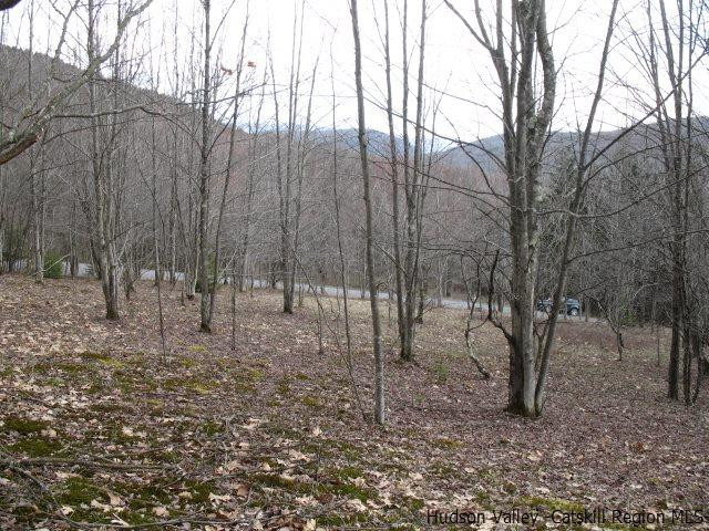Tbd222.4-5 Dimmick Mountain Road Denver, NY 12421 - Photo 26 of 27 Photo 26