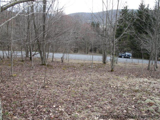 Tbd222.4-5 Dimmick Mountain Road Denver, NY 12421 - Photo 27 of 27 Photo 27