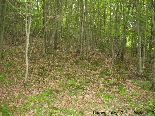Tbd222.4-5 Dimmick Mountain Road Denver, NY 12421 - Photo 4 of 27 Photo 4