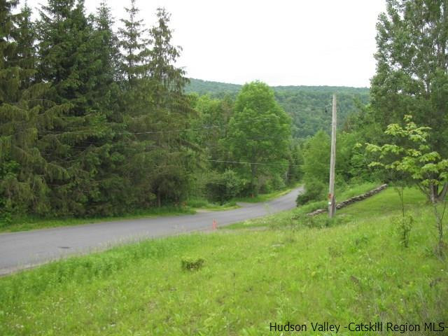 Tbd222.4-5 Dimmick Mountain Road Denver, NY 12421 - Photo 5 of 27 Photo 5