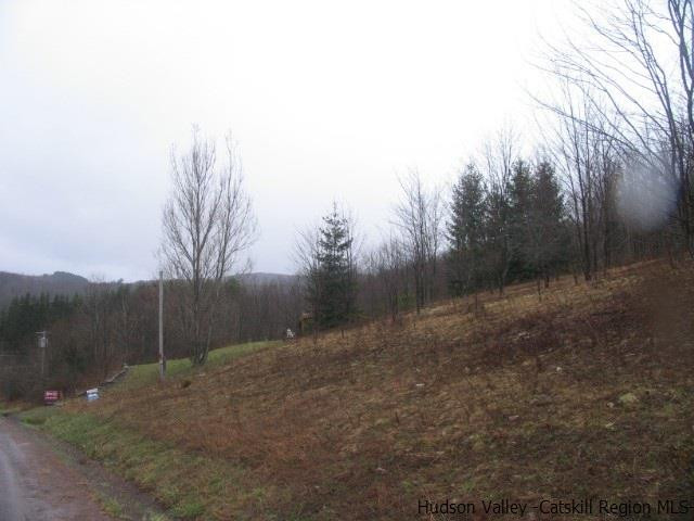 Tbd222.4-5 Dimmick Mountain Road Denver, NY 12421 - Photo 7 of 27 Photo 7