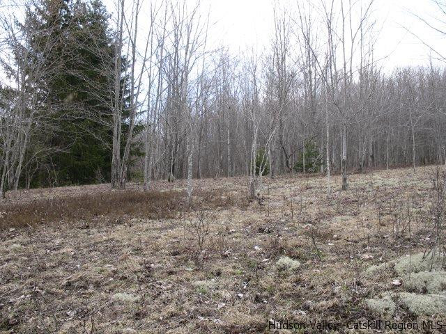 Tbd222.4-5 Dimmick Mountain Road Denver, NY 12421 - Photo 8 of 27 Photo 8