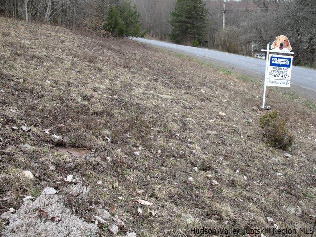 Tbd222.4-5 Dimmick Mountain Road Denver, NY 12421 - Photo 9 of 27 Photo 9