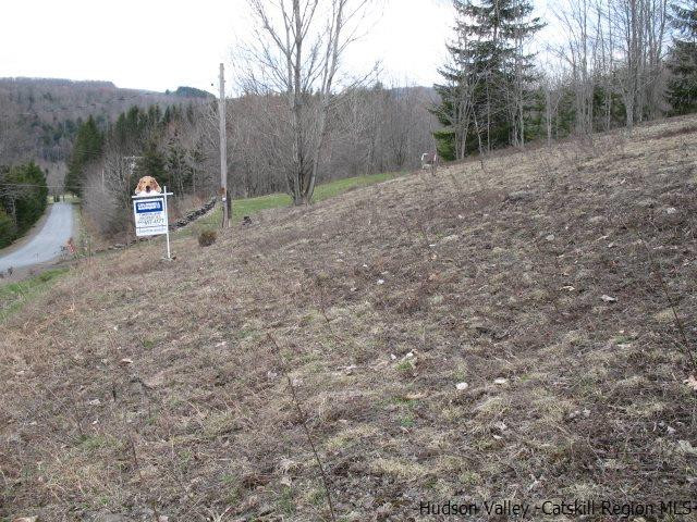 Tbd222.4-5 Dimmick Mountain Road Denver, NY 12421 - Photo 10 of 27 Photo 10